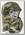 Балаклава Swedteam realtree max-5