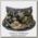 Бандана Sitka Neck Gaiter ground forest