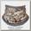 Бандана Sitka Neck Gaiter waterfowl