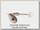 Блесна Abu Garcia Active spinner S-Black 7гр
