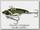 Блесна Daiwa Prorex Metal Vib 10гр Metallic Ayu