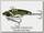 Блесна Daiwa Prorex Metal Vib 7гр Metallic Ayu
