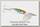 Блесна Daiwa Silver сreek spinner Z 1060 H yamame