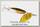 Блесна Daiwa Silver сreek spinner Z 1090 A black gold