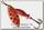 Блесна Mepps Aglia Long Heavy №1+ copper pts red