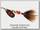 Блесна Mepps COMET BLACK FURY NR MOUCHE (1,5гр) №0