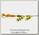 Блесна Mepps Tandem Perch Black/Green/Gold