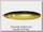 Блесна Rapala Minnow spoon RMS06 BGF незацепляйка