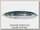 Блесна Rapala Minnow spoon RMS06 BSD незацепляйка