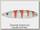Блесна Rapala Minnow spoon RMS06 WHT незацепляйка