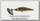 Блесна Smith AR-HD Minnow 45HS цв 02