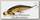 Блесна Smith AR-HD Minnow 58S цв 01