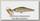 Блесна Smith AR-HD Minnow 58S цв 09
