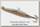Блесна Williams Ice jig 14гр 8см цв CHN