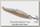Блесна Williams Ice jig 60 CH