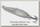 Блесна Williams Ice jig 7гр 5,7см SN