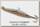 Блесна Williams Ice jig 7гр 5,7см цв CHN