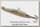 Блесна Williams Ice jig 7гр 5,7см цв HN