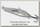Блесна Williams Ice jig 7гр 5,7см цв S