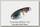 Блесна Xesta Black star aji spoon 5гр 53.cc