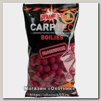 Бойлы Dynamite Baits Bloodworm carp tec 20мм 1кг