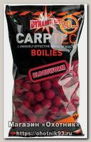 Бойлы Dynamite Baits Carp tec bloodworm 20мм 1кг