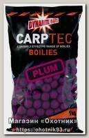 Бойлы Dynamite Baits Carp tec plum 20мм 1кг