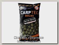 Бойлы Dynamite Baits Carp tec spicy squid 20мм 2кг
