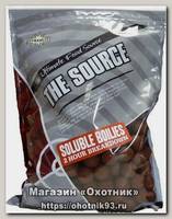 Бойлы Dynamite Baits Source soluble 20мм 1кг пылящие