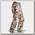 Брюки Sitka Dakota Pant optifade marsh р.32х31