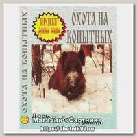 Диск DVD Проект Русские охоты Охота на копытных