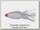 Глиссер Heddon moss boss 10,5гр 76мм white scaled