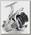 Катушка Shimano Stradic 4000 FK