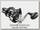 Катушка Shimano Tekota 601 HGLCA