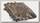 Лента маскировочная Allen 3D Leafy omnitex 3,6м realtree max 5