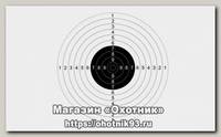 Мишень №9
