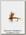Мушка Vania Fly Fishing 233B №12 1/12