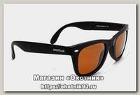Очки Nautilus Adamello N5702 PL brown