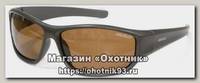 Очки Nautilus Amaro N7202 PL brown