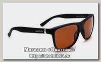 Очки Nautilus Argentera N5802 PL brown