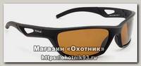 Очки Nautilus Bretoni N8102 PL brown