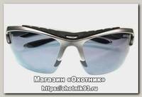Очки Nautilus Cornetto N7401 PL grey