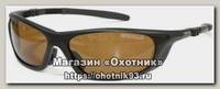 Очки Nautilus Donato N7902 PL brown