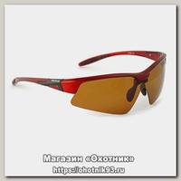 Очки Nautilus Vettore N7502 PL brown