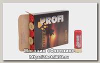 Патрон 12х70 Азот Profi-Hunter картечь 6,2мм импорт порох