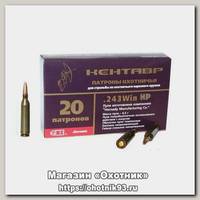 Патрон 243Win БПЗ HP Hornady Кентавр 6,5г лак
