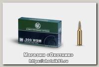 Патрон 300WSM RWS 11,9 EVO