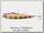 Пилькер Savage Gear 3D Slim Minnow Jig 8гр 5.4см Gold Pink Zebra