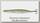 Пилькер Savage Gear Seeker ISP 68мм 12гр NL 01-Green Silver
