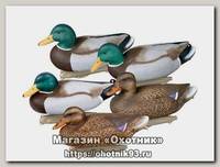 Подсадная утка Flambeau Premium Mallard комплект 6шт.